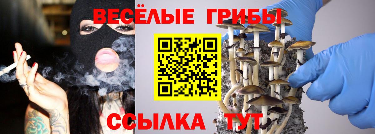 Волгоград  Псилоцибиновые грибы Cubensis  Вход с VPN 